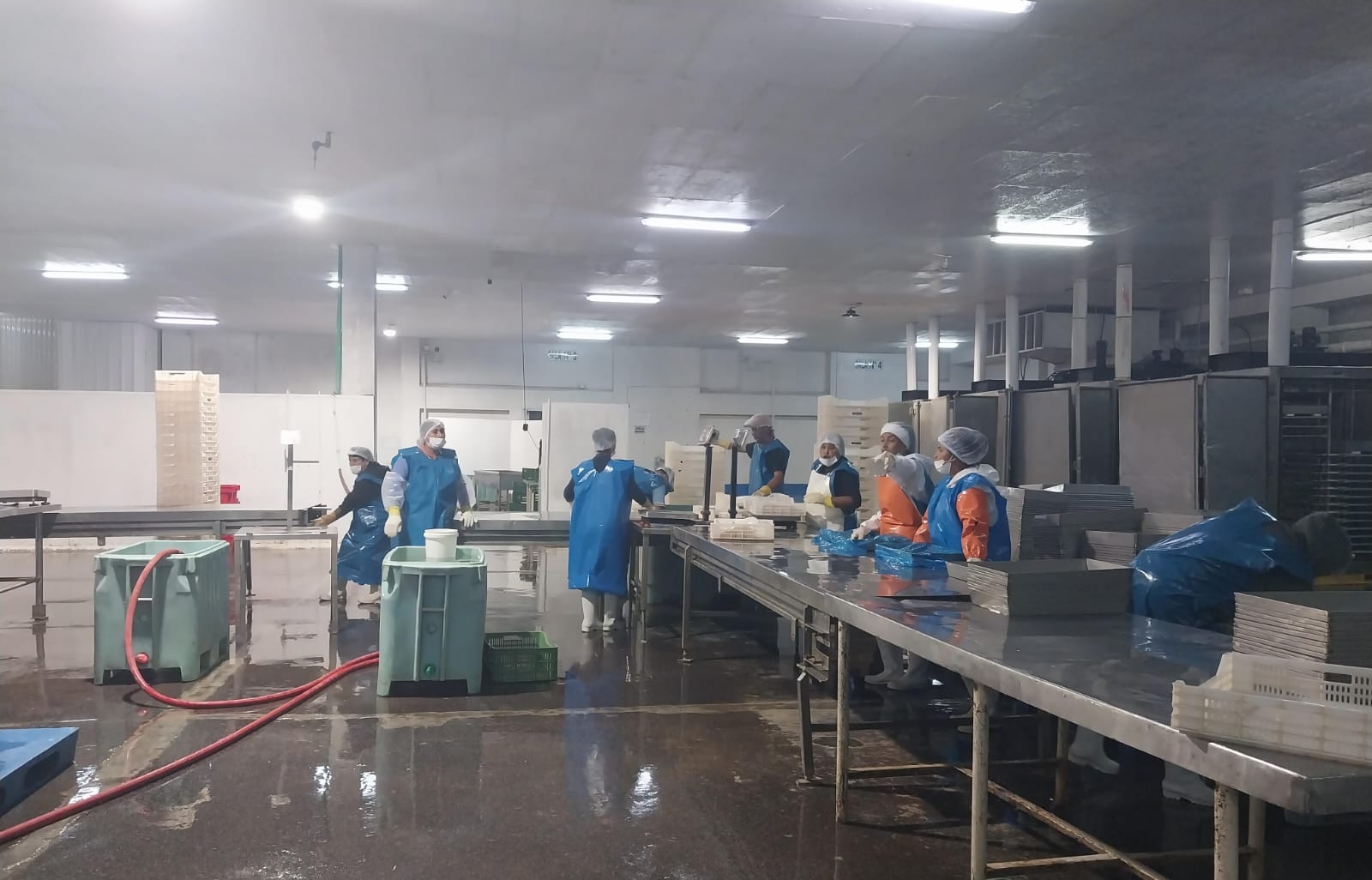 Planta de producción COSAC 4