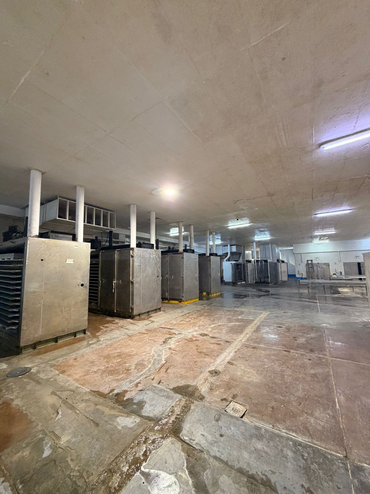 Planta de producción COSAC 6